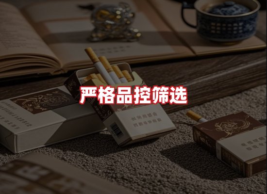 专业团队